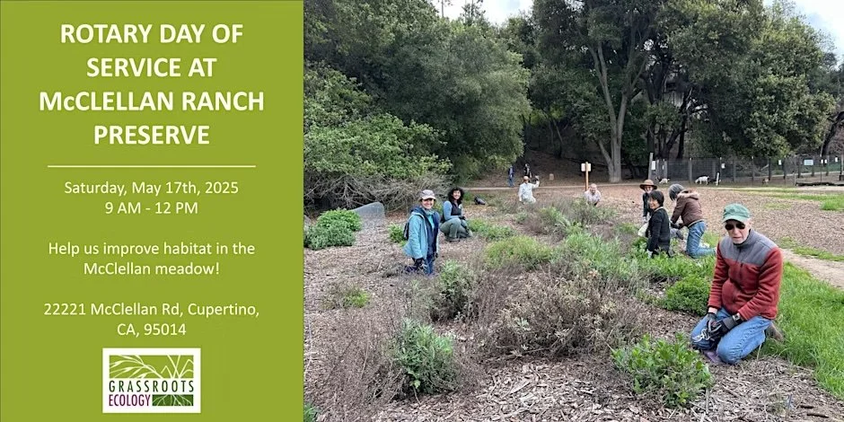 Mcclellan Ranch Rules Food Volunteer at McClellan Ranch Preserve in Cupertino — Grassroots Ecology