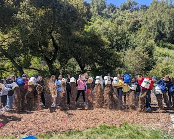 Volunteer Outdoors in Palo Alto at Foothills Nature Preserve
