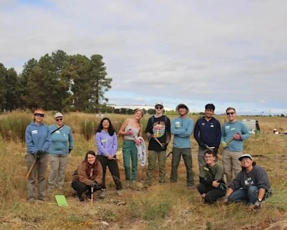 Volunteer Outdoors in Alviso at the Burrowing Owl Project (18+)