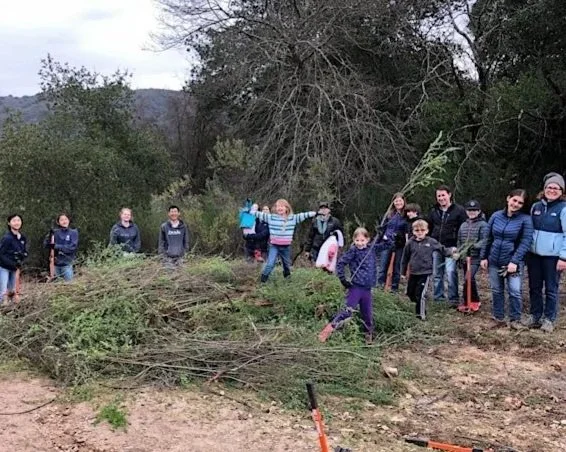 Volunteer Outdoors in Los Gatos at Bear Creek Redwoods
