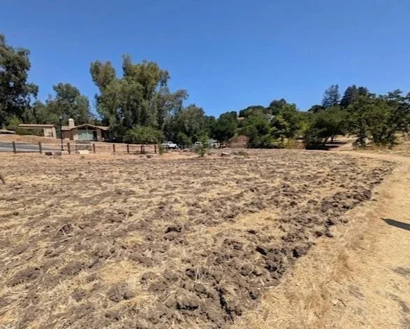 Volunteer Outdoors in Palo Alto: Tree Planting at Esther Clark Park