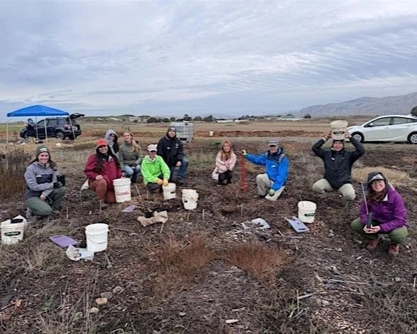 Volunteer Outdoors in Alviso at the Burrowing Owl Project (18+)