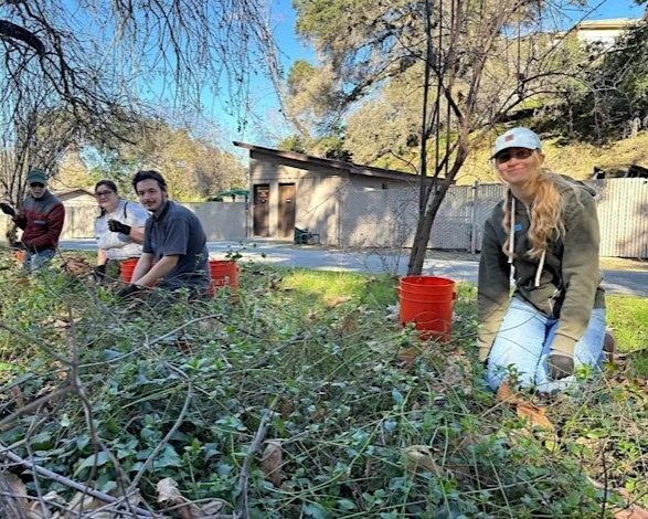 Nurture Nature: Volunteer Outside at McClellan Ranch Preserve