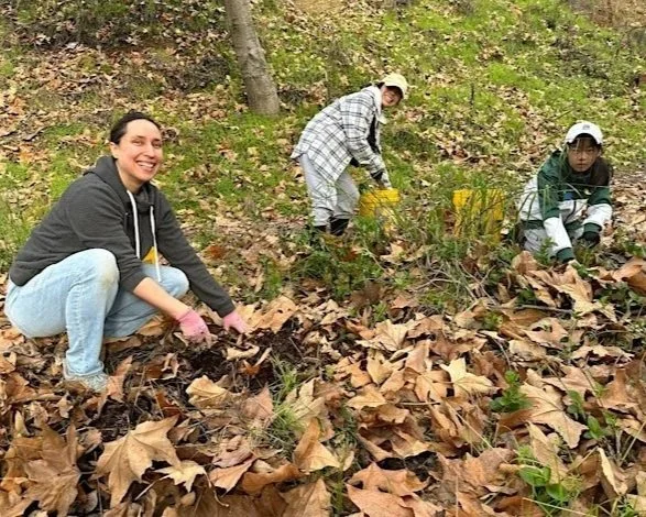 Volunteer Outside at McClellan Ranch Preserve