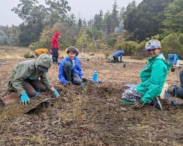 Volunteer Outdoors in Palo Alto at Foothills Nature Preserve
