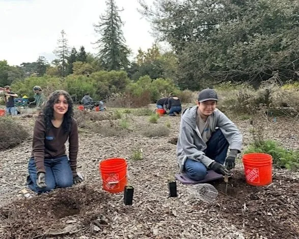 Volunteer Outside at McClellan Ranch Preserve