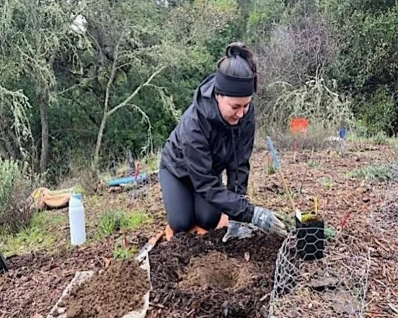 Volunteer in Redwood City: Solstice Planting at Stulsaft Park
