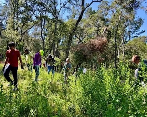 Volunteer Outside in Woodside at Huddart Park