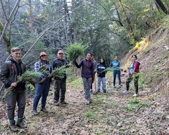 Volunteer Outdoors in Los Gatos at Bear Creek Redwoods