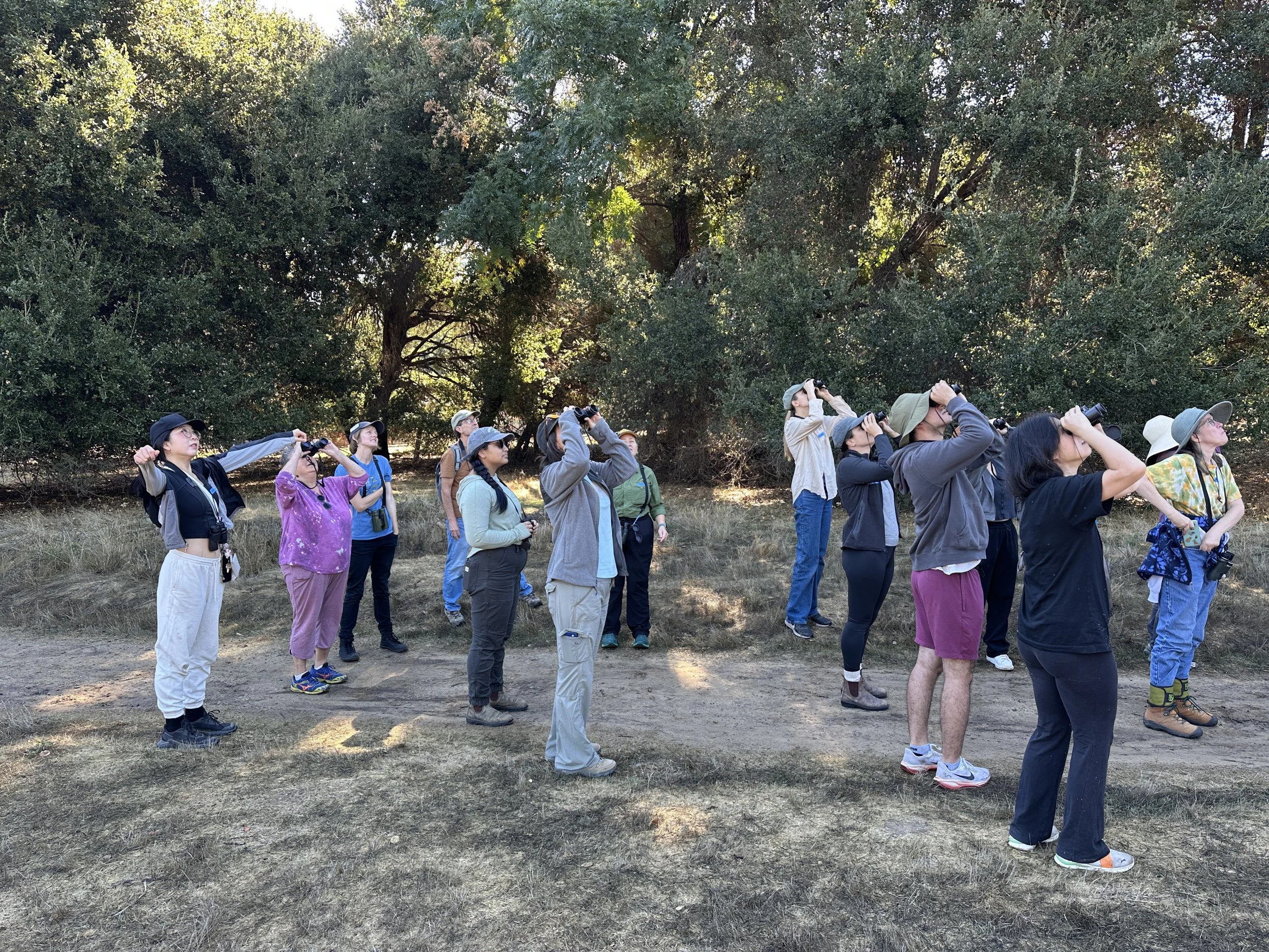 Habitat Workday: Plants &amp; Birds of McClellan Ranch