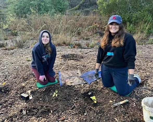 Volunteer Outdoors in Palo Alto at Foothills Nature Preserve