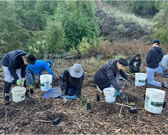 Volunteer Outdoors in Palo Alto at Foothills Nature Preserve