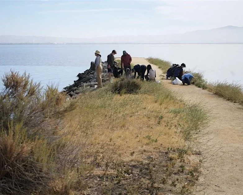 Volunteer Outdoors in East Palo Alto at Ravenswood Preserve