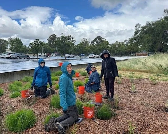 Volunteer Outside at Sunnyvale Baylands Park