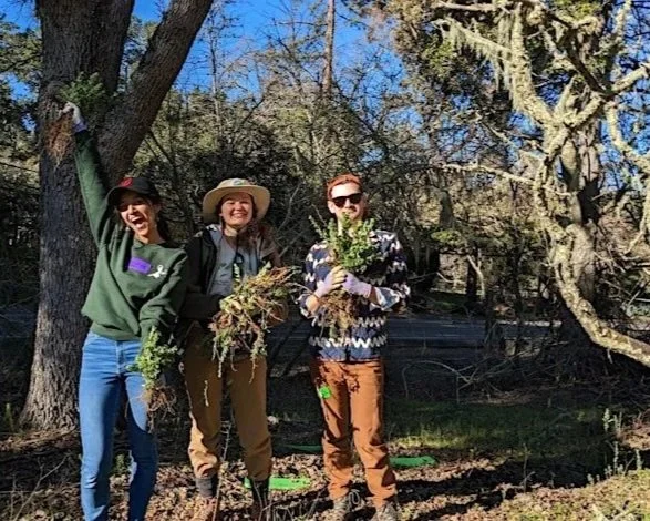 Volunteer Outdoors in Portola Valley at Hawthorns