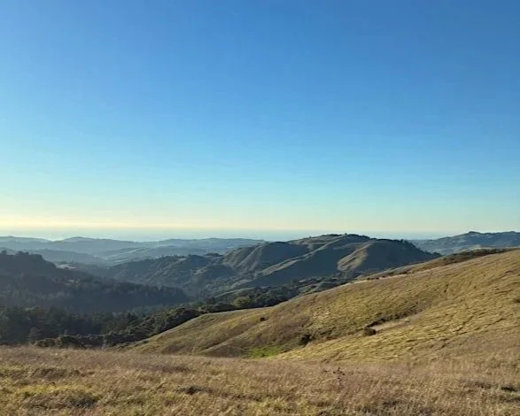 Midwinter Wonders Naturalist Walk at Russian Ridge Preserve