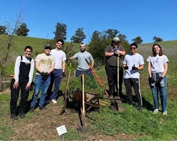 The Big Dig: Volunteer at Pearson-Arastradero Preserve!