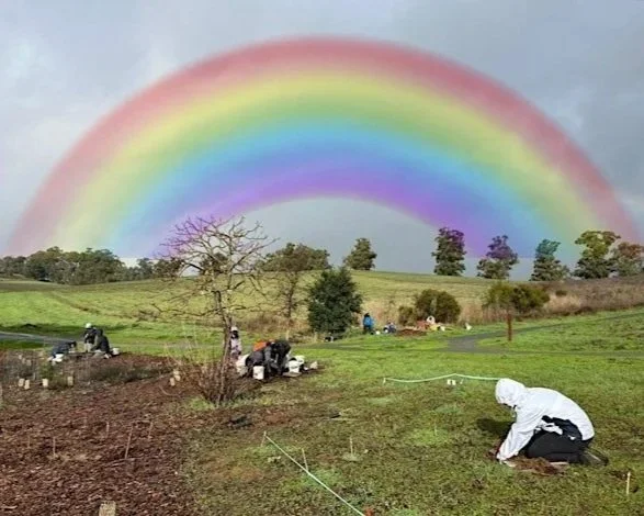 Meet QT: Habitat Restoration at Pearson-Arastradero Preserve