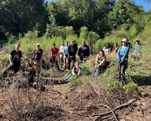 Volunteer Outdoors in Los Gatos at Bear Creek Redwoods