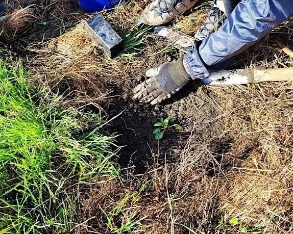Volunteer Outdoors in East Palo Alto at Cooley Landing