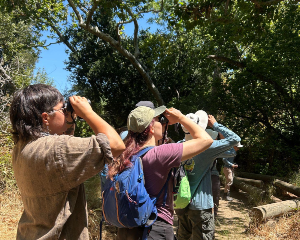 Summer Naturalist Internship Info Session #1