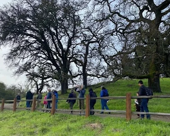Mindful Moments Naturalist Walk at Pearson-Arastradero Preserve