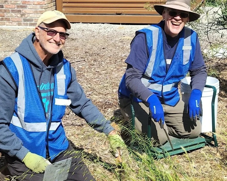 Seniors (65+) Volunteer Outdoors in East Palo Alto at Cooley Landing