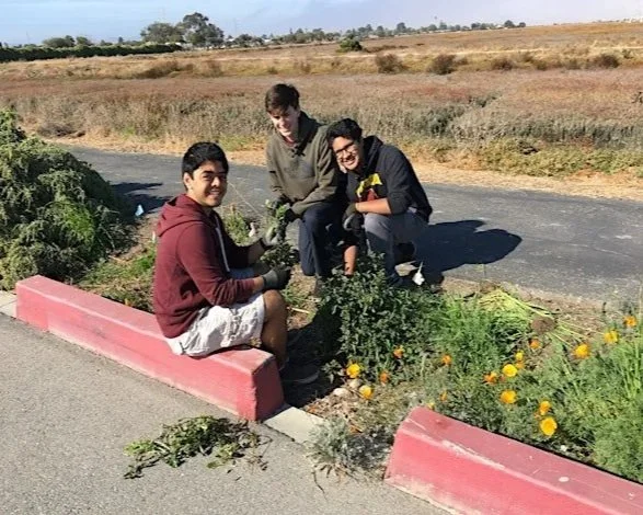 Volunteer Outdoors in East Palo Alto at Ravenswood Open Space Preserve