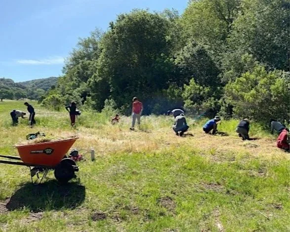Volunteer Outdoors in Palo Alto at Foothills Nature Preserve