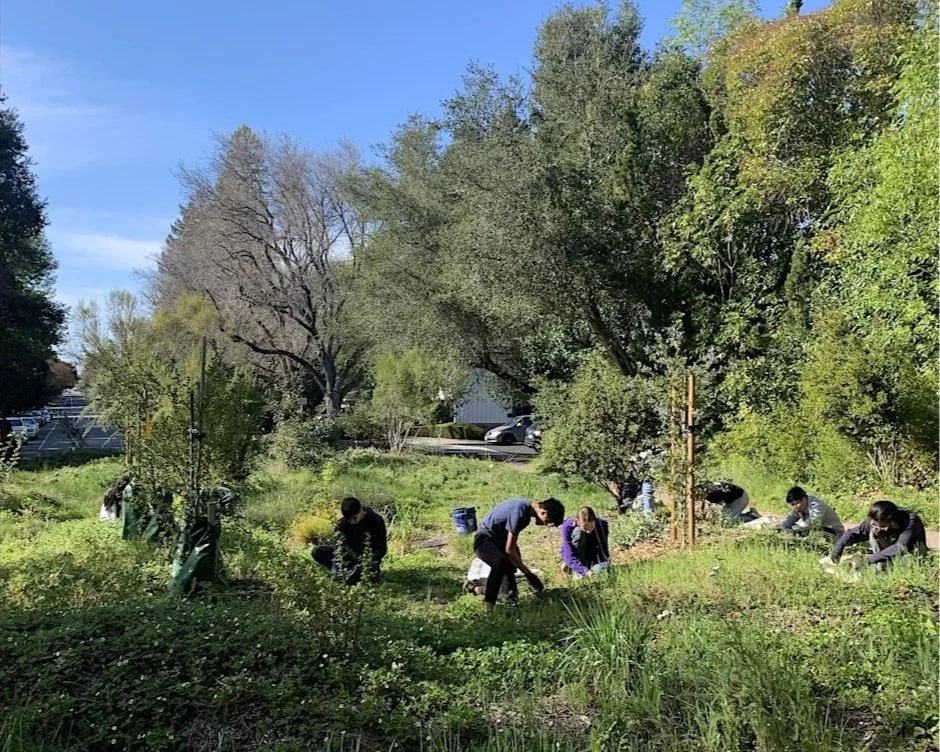 High School Youth Stewards at San Francisquito Creek - Session #1
