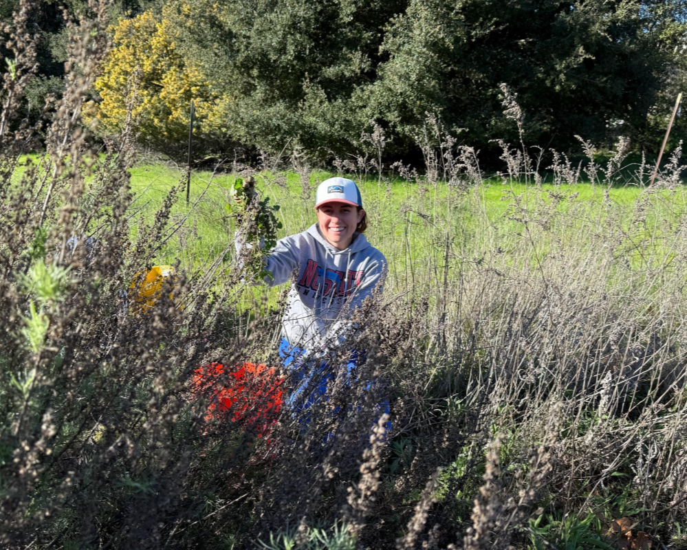 Nurture Nature: Volunteer Outside at McClellan Ranch Preserve