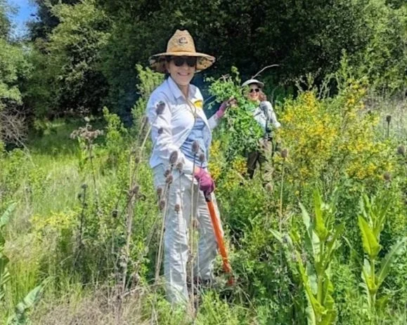 Volunteer Outdoors in Los Gatos at Bear Creek Redwoods