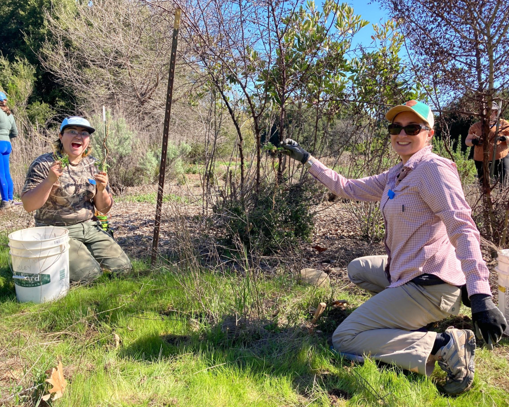 Volunteer Outside in Cupertino at McClellan Ranch Preserve