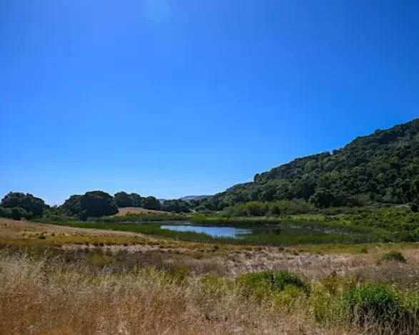 Volunteer Outdoors in Los Gatos at Cherry Springs Pond