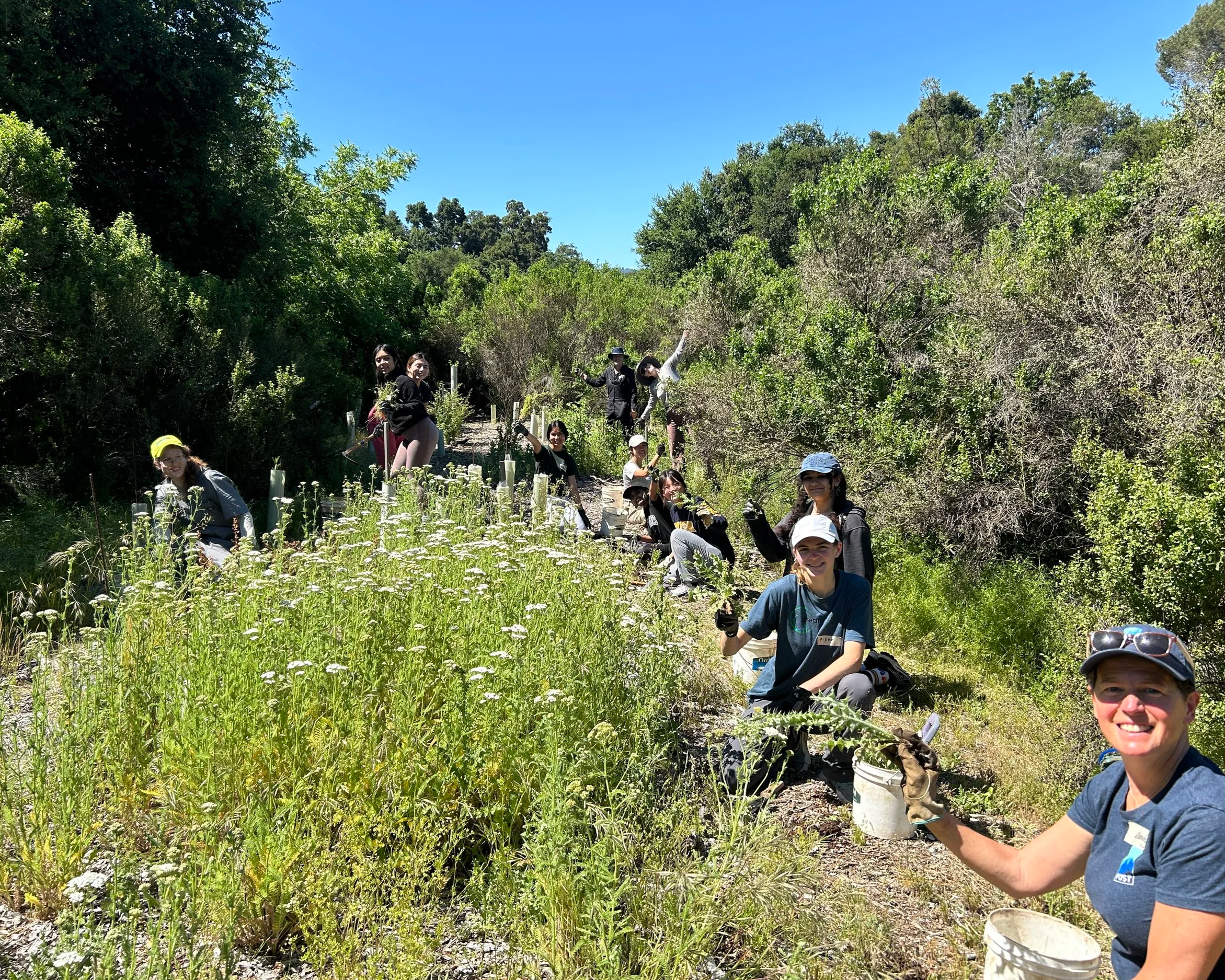 Volunteer Outside in Palo Alto at Pearson-Arastradero Preserve