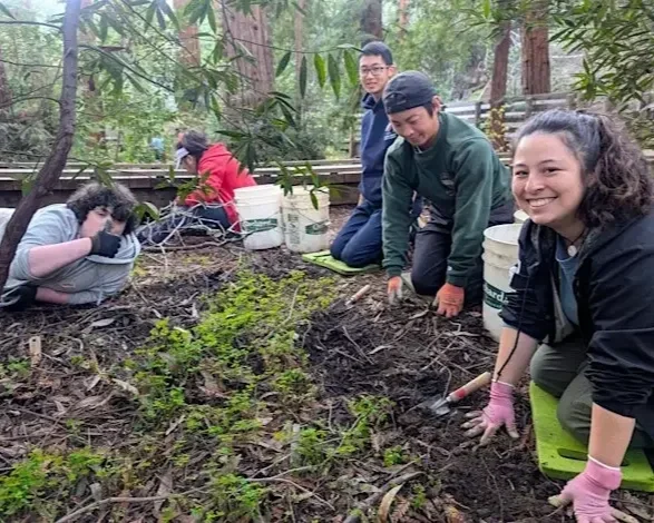 Volunteer Outdoors at Redwood Grove in Los Altos