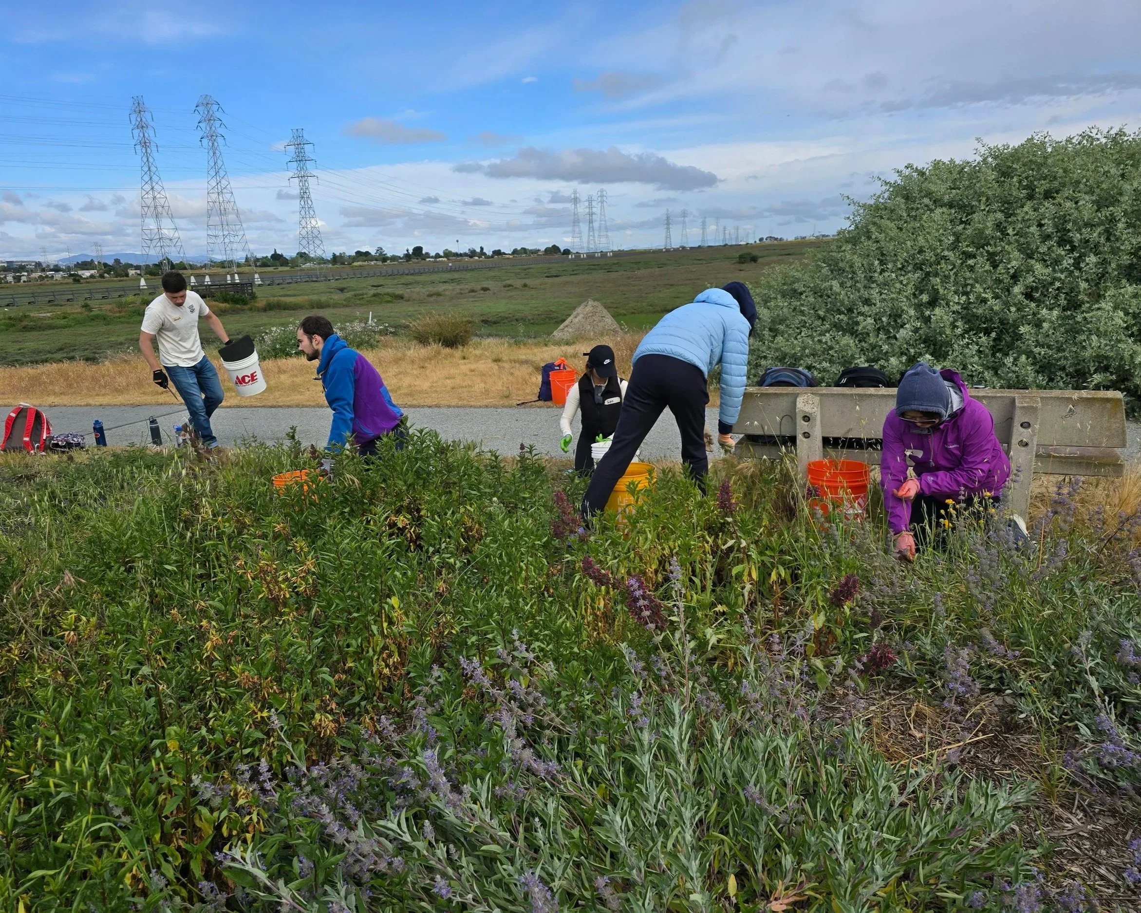 Volunteer Outdoors in East Palo Alto at Ravenswood Preserve