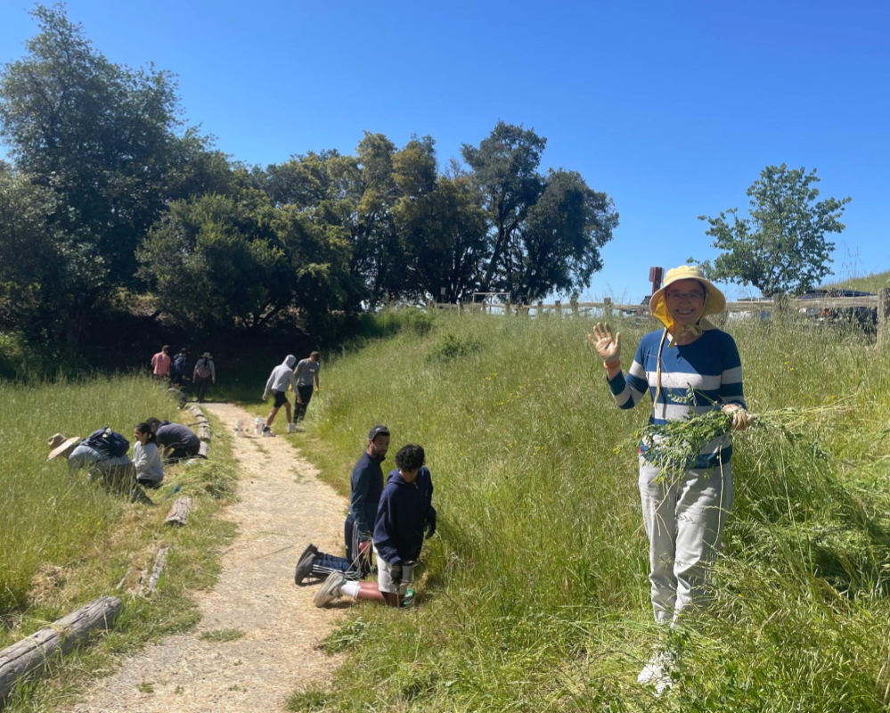 Earth Day Habitat Restoration at Russian Ridge Open Space Preserve
