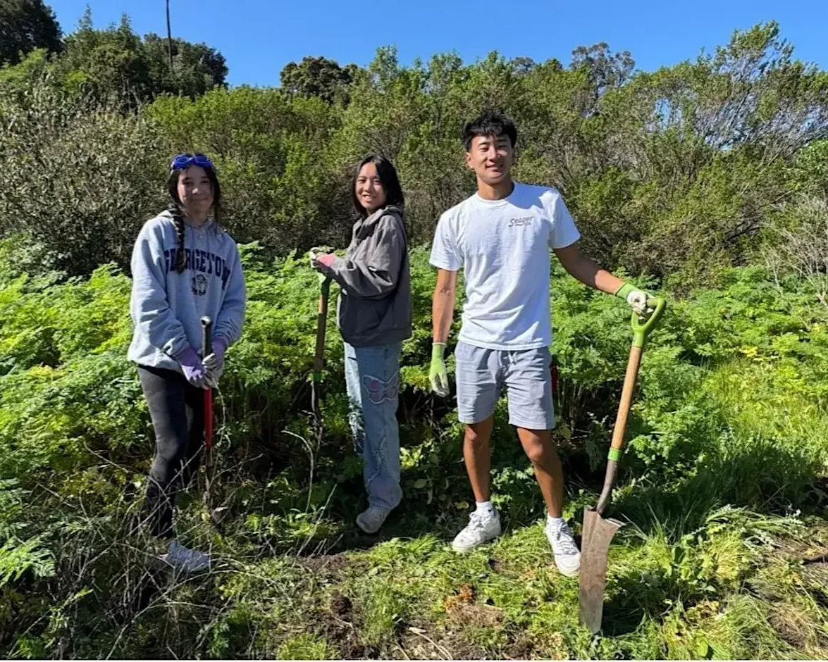 Speed Weeders at Palo Alto at Pearson-Arastradero Preserve