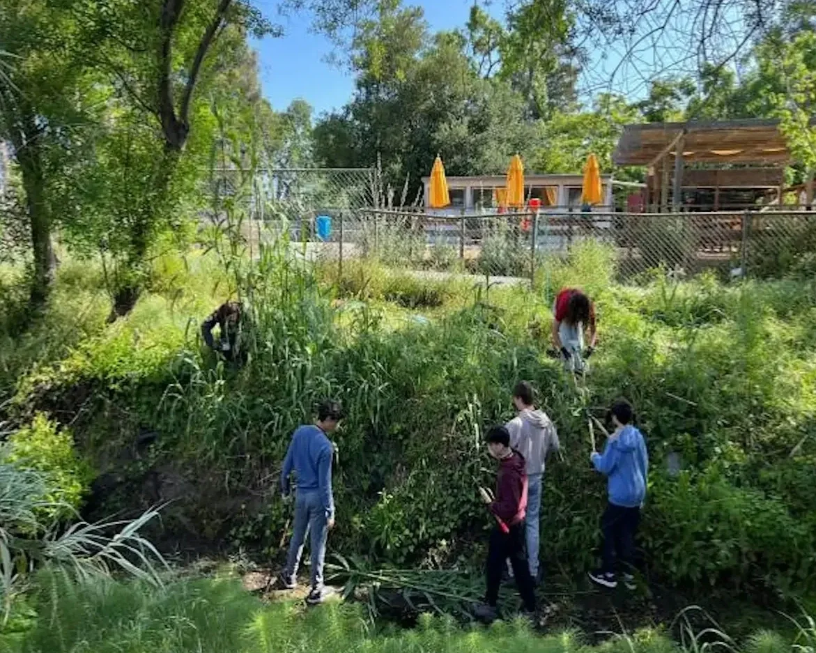 Volunteer Outdoors at Redwood High School