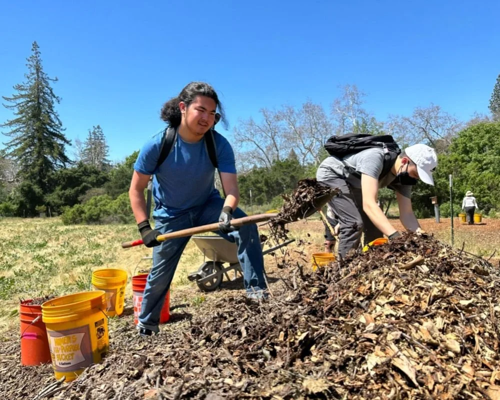 Volunteer Outside at McClellan Ranch Preserve