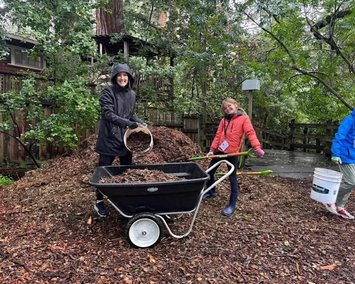 Volunteer Outdoors at Redwood Grove in Los Altos