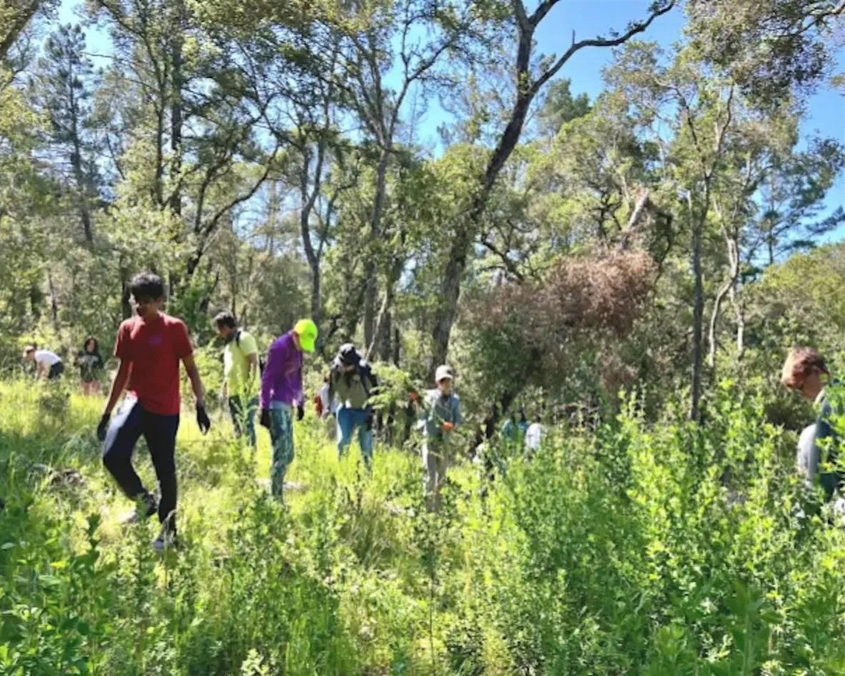 Weed and Walk at Wunderlich Park