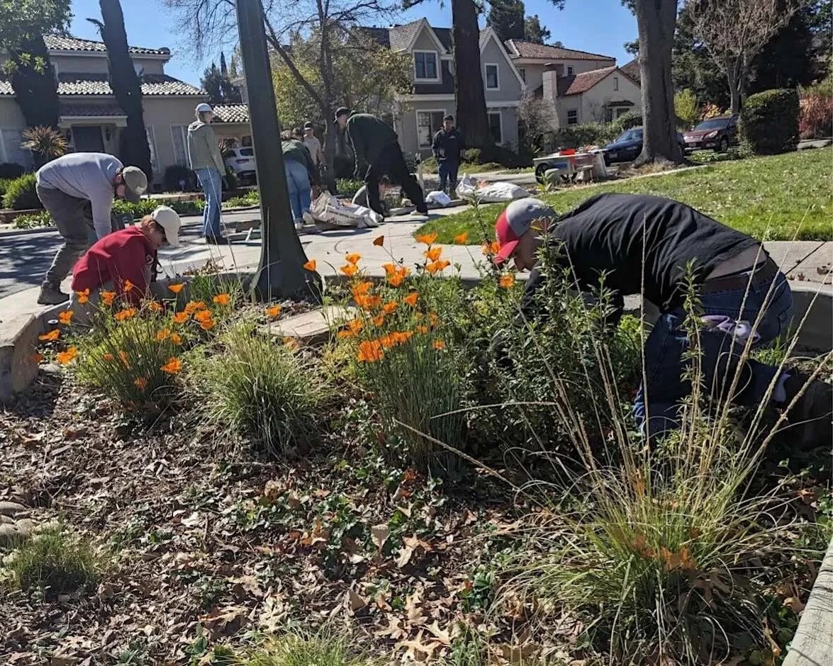 Volunteer Outdoors in Palo Alto: Bioretention Area Maintenance at Southgate