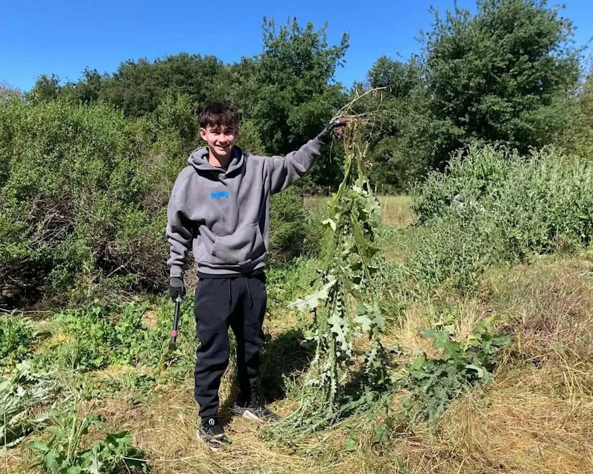 Nurture Nature: Volunteer Outside at McClellan Ranch Preserve