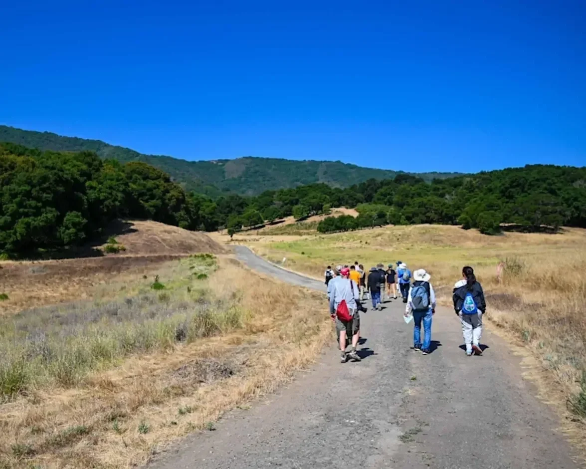 Rare Gems and Old Friends Nature Walk in Los Gatos at Cherry Springs Pond