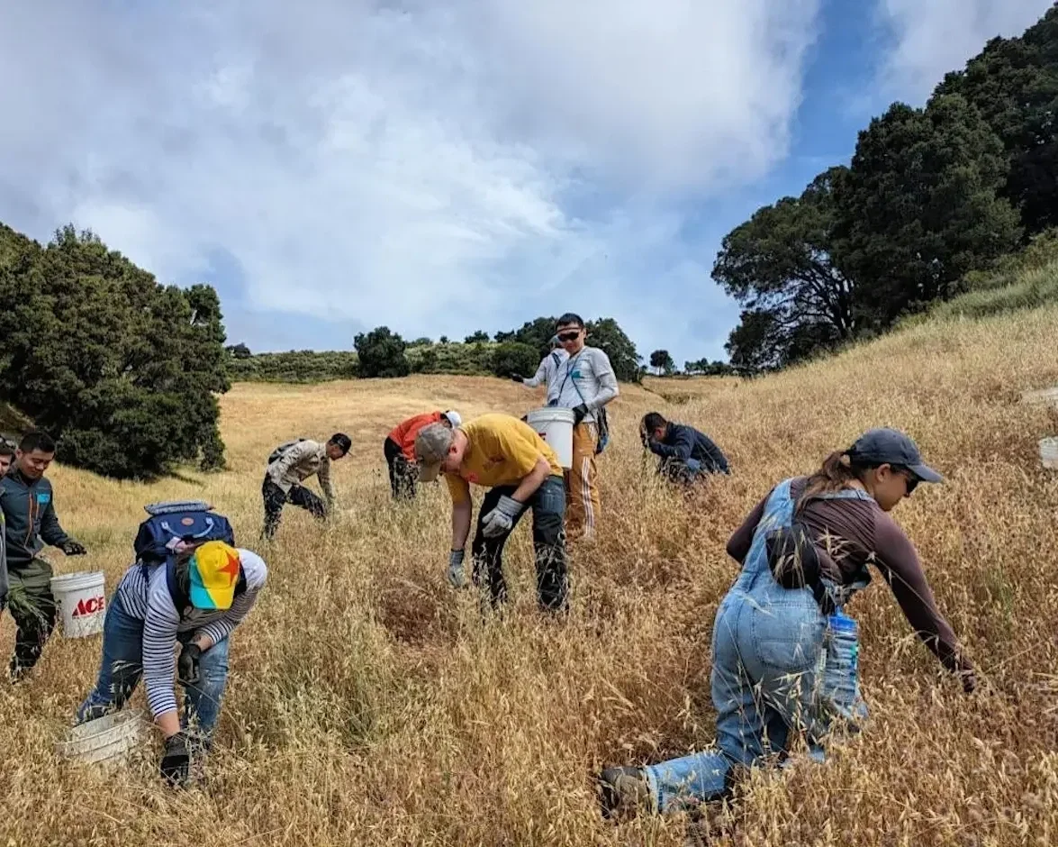 Volunteer Outdoors in Palo Alto at Foothills Nature Preserve