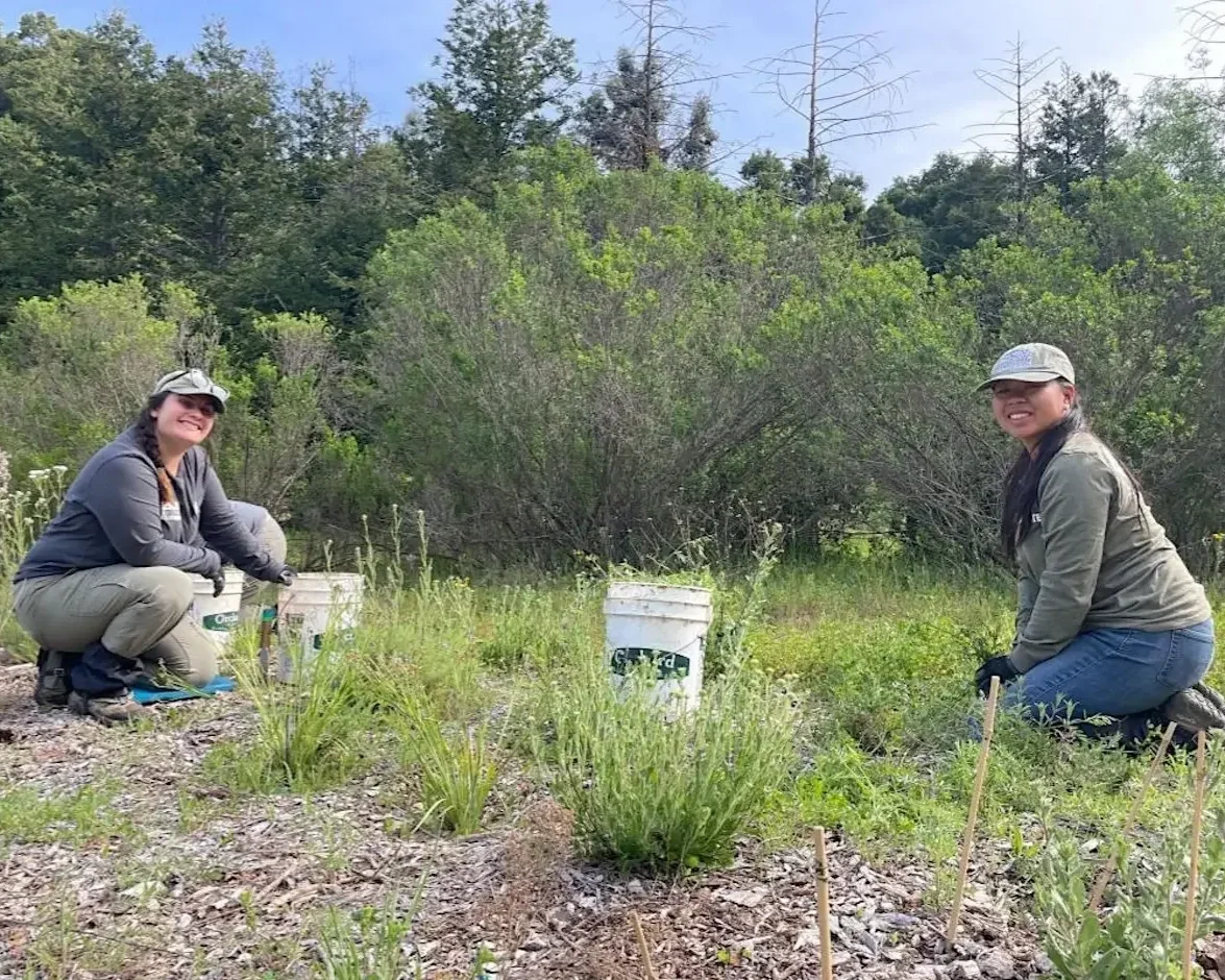 Volunteer Outdoors in Palo Alto at Foothills Nature Preserve