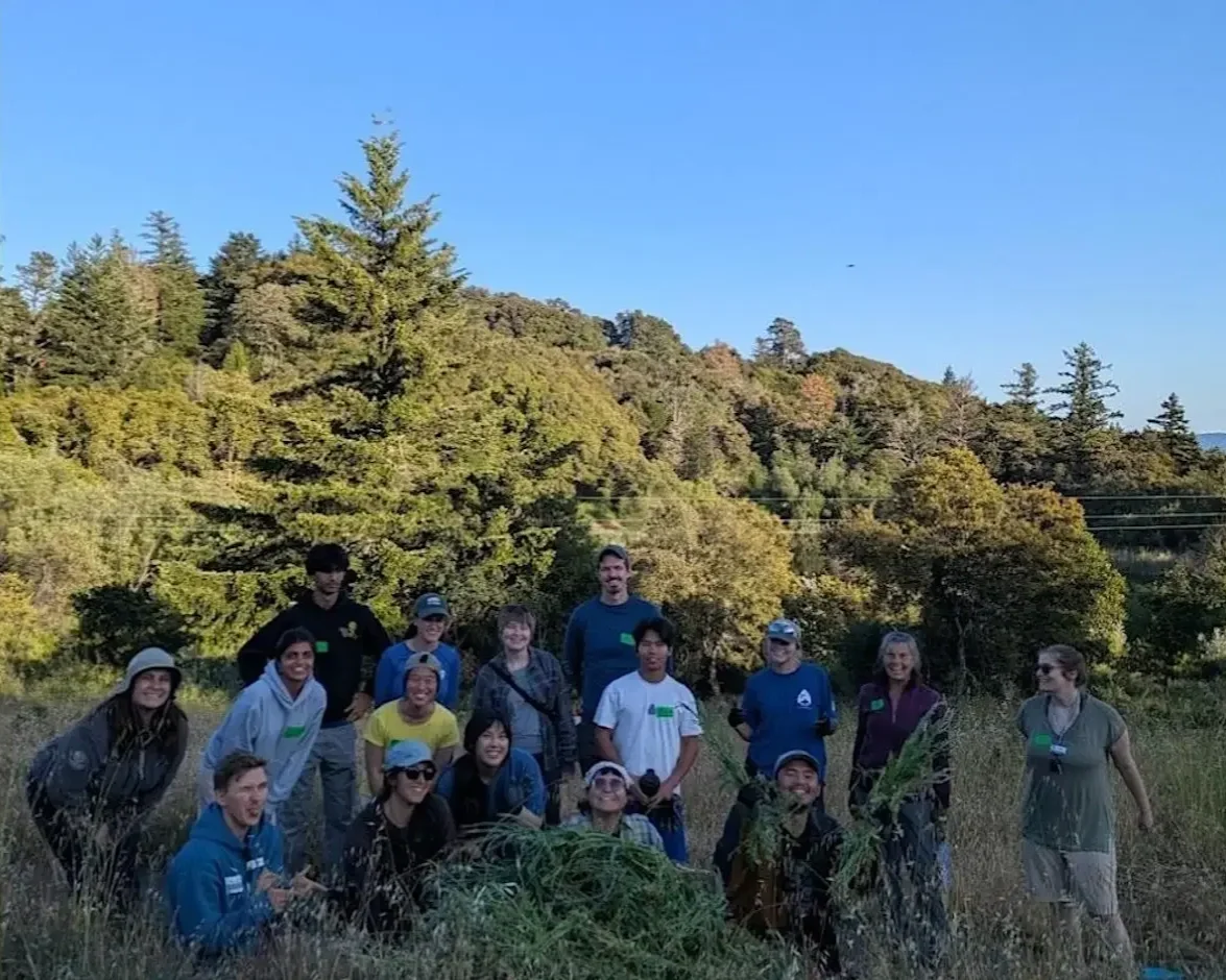 Sunset Restoration at Russian Ridge Open Space Preserve