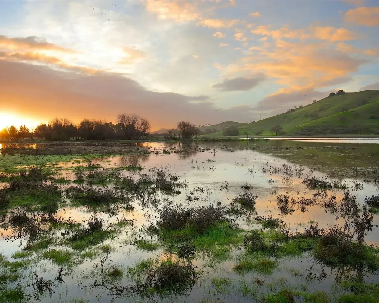 Discovering Coyote Valley: Water, Wildlife &amp; Plan for a Resilient Future